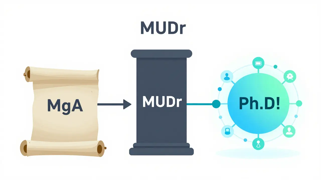 Schéma rozdílu mezi tituly MgA, MUDr a Ph.D.